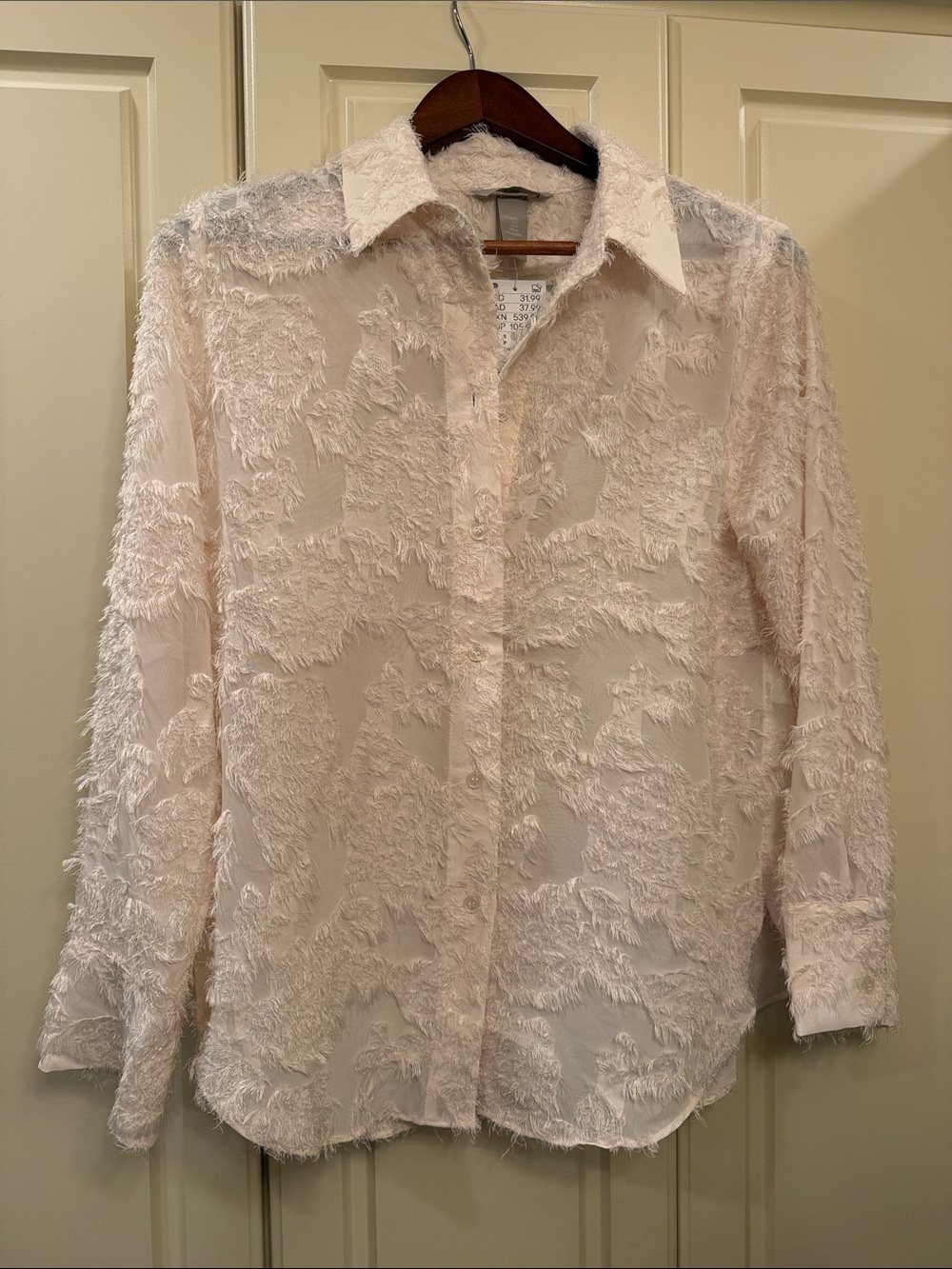 H&M Sheer Textured Long-Sleeve Button-Up Blouse in Light Beige